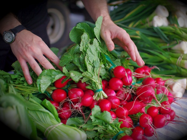 News_community garden_radish_onions_farmers market