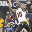 Johnathan Joseph AJ Green