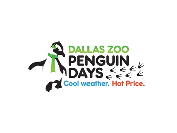 Dallas Zoo, Penguin Days