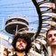 News_The American Dollar_band