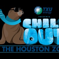 Houston Zoo Cool Nights