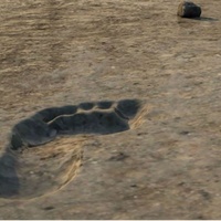 Archaeological Institute of America, Houston Society presents <i>The Great Road Trip: New Stories in the Human Evolutionary Journey</i>