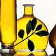 News_olive tree_olives_branch