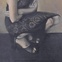 News_La Colombe d'Or Art Gallery_May 2012_Guy Van den Bulcke_Expectations_Oil on canva