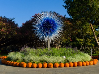Dallas, Dallas Arboretum, Autumn at the Arboretum, Chihuly, Rod Lindley, Melisa Ambers