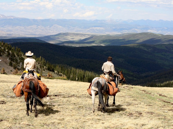 Unbranded documentary, horses, mountains, January 2013