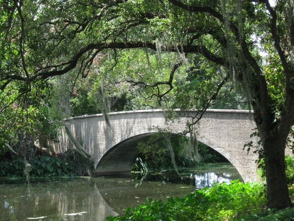News_Peter Barnes_New Orleans_city park