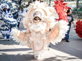 Houston Creole Heritage Festival presents Mardi Gras