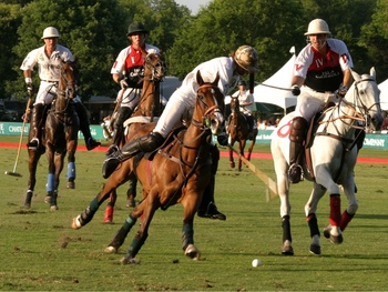 Places-Unique-Houston Polo Club-action-1