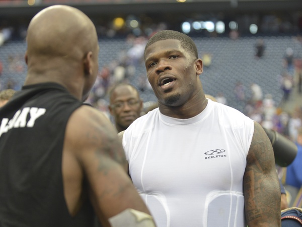 Andre Johnson Adrian Peterson