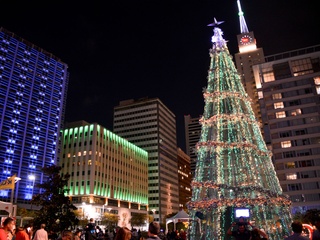 Dallas City Lights
