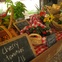 Austin Photo Set: News_Shelley Seale_local food_Nov 2011_inside