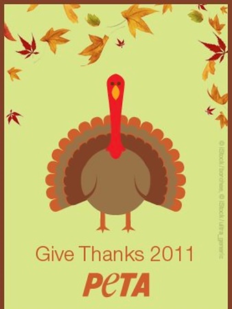 News_PETA_turkey
