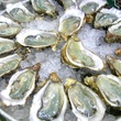 Oysters on the Half Shell at The West End