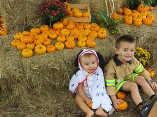Houston Zoo presents Zoo Boo