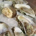 Liberty Kitchen Bar oysters on ice
