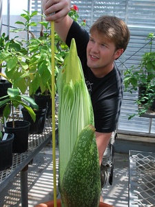 News_Zac Stayton_corpse flower_July 10