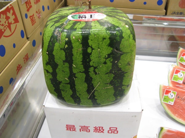 News_Square_Watermelon.jpg
