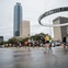 Houston Marathon, January 2013