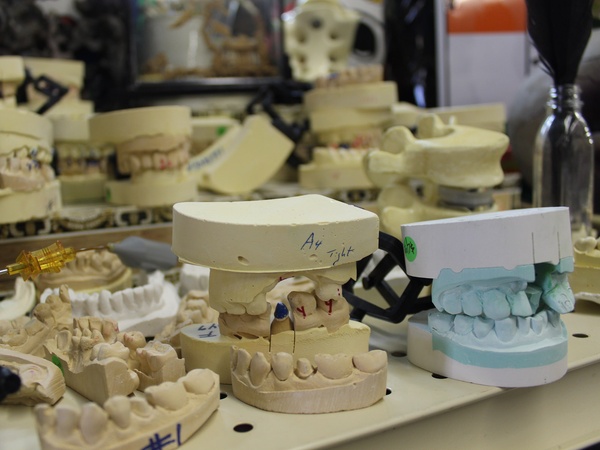 Texas Art Asylum, December 2012, teeth molds, dental molds