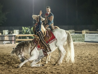 Haras Cup