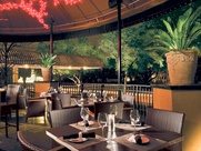 Places-Drinks-Monarch Bar-terrace