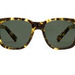 News_warby parker_sunglasses