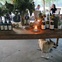 animal farm dinner
