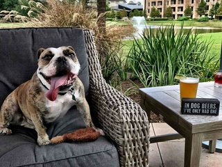 Robard's Steakhouse presents Yappy Hour