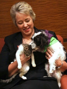 Mayor Annise Parker, Jax, adopted dog, BARC,  Neo, cat