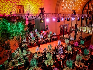 027, Houston Ballet Ball, February 2013, crowd, venue