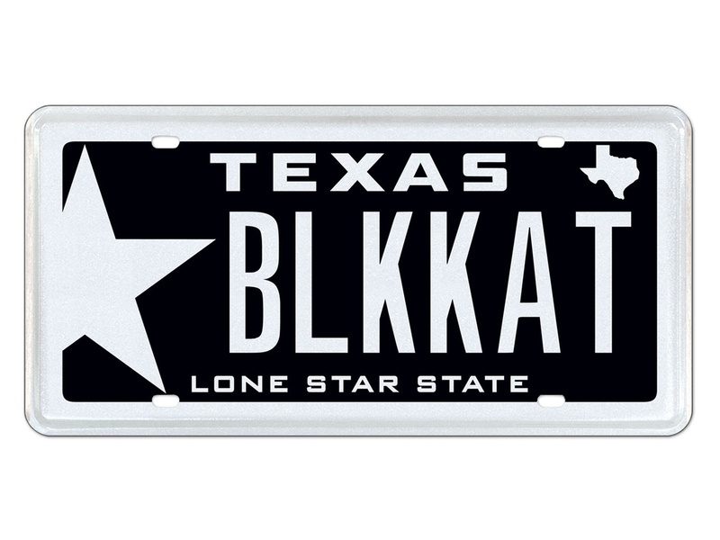 Slideshow Houston trumps Dallas in Texas personalized license plate