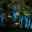 Dallas, Dallas Arboretum, Autumn at the Arboretum, Chihuly, Rod Lindley, Melisa Ambers