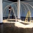 News_Monica Vidal_installation_In Front of a Hive_Lawndale Art Center_Nov. 2009