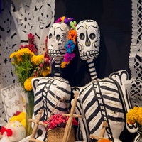 ROCO Connections: Musical and Literary Ofrenda