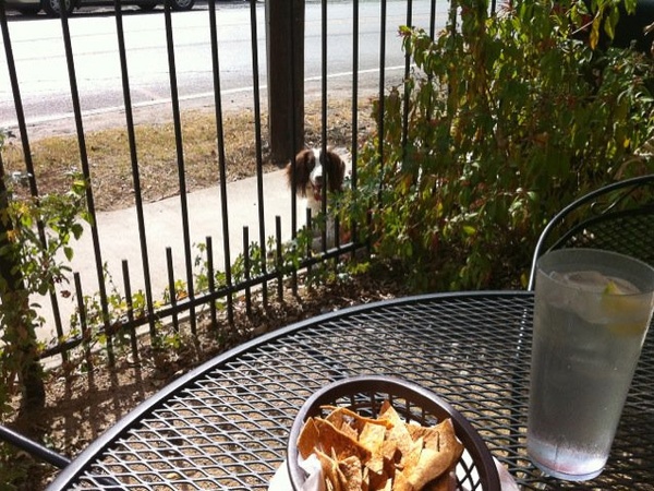 News_Paws on Patios