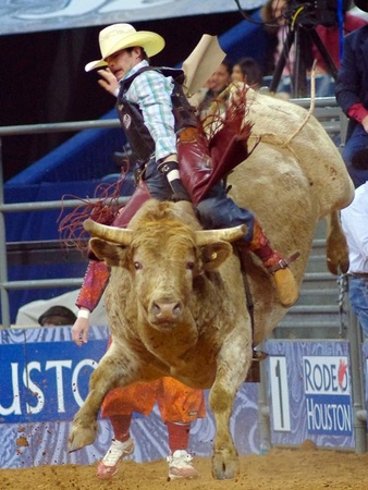 1, Nancy, RodeoHouston, bullrider