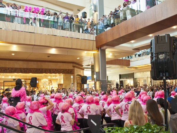 News_Pink Well_Flash Mob_June 2011