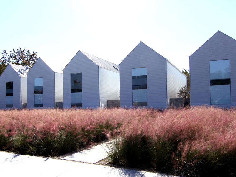 25th Street row houses, January 2013, autumn time