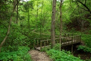 Cedar Ridge Preserve