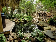 Austin_photo: Places_Outdoors_Zilker Botanical Gardens_pond