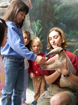 Places-Unique-Houston Zoo