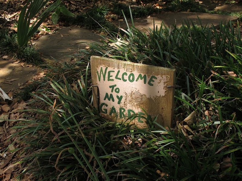 News_Katie_Patsy Cravens_welcome to my garden