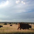 Texas Hill Country