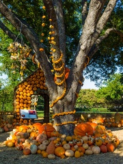 Dallas, Dallas Arboretum, Autumn at the Arboretum, Chihuly, Melisa Ambers, Rod Lindley