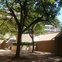 University of Houston, Agnes Arnold Hall, UH, dorm