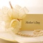 News_Mother's Day_card_plate_pearls_ribbons