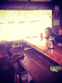 Doghouse Drinkery and Dog Park