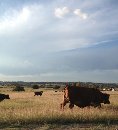 Texas Hill Country