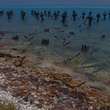 tortugas_coaling